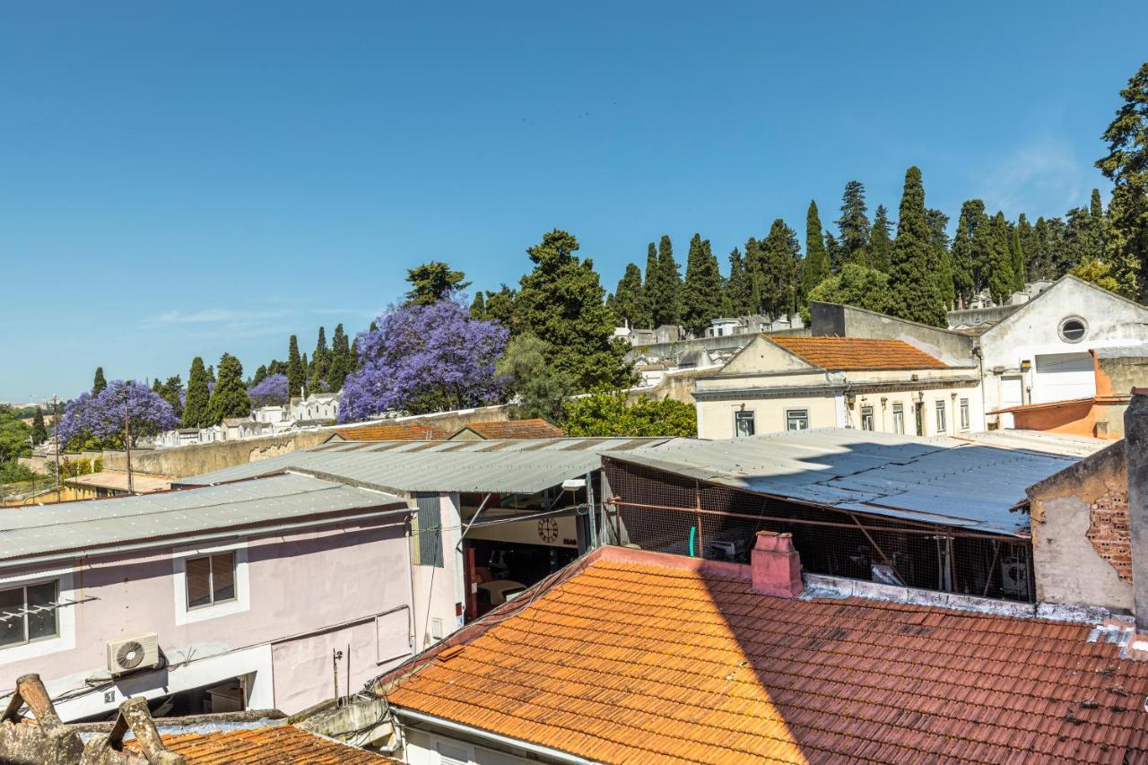 Apartamento Comfy 3 Bedroom Campo De Ourique Lisboa