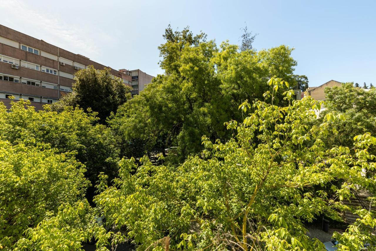 Comfy 3 Bedroom Campo De Ourique Apartamento