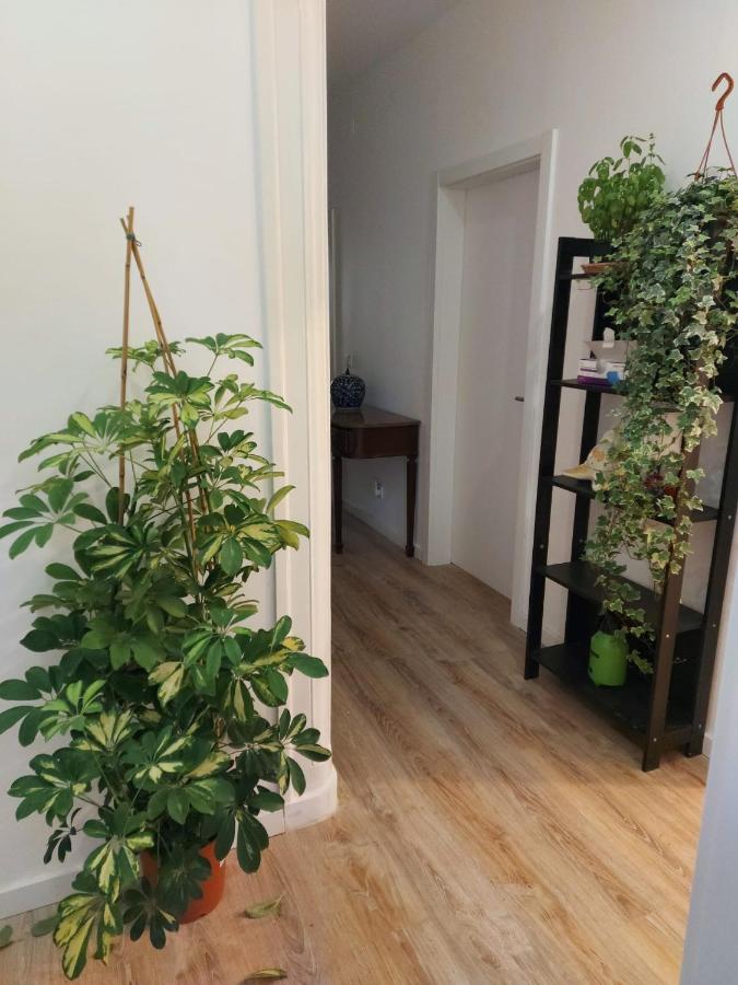 Albergue D&n Hospedagem-almirante Lisboa