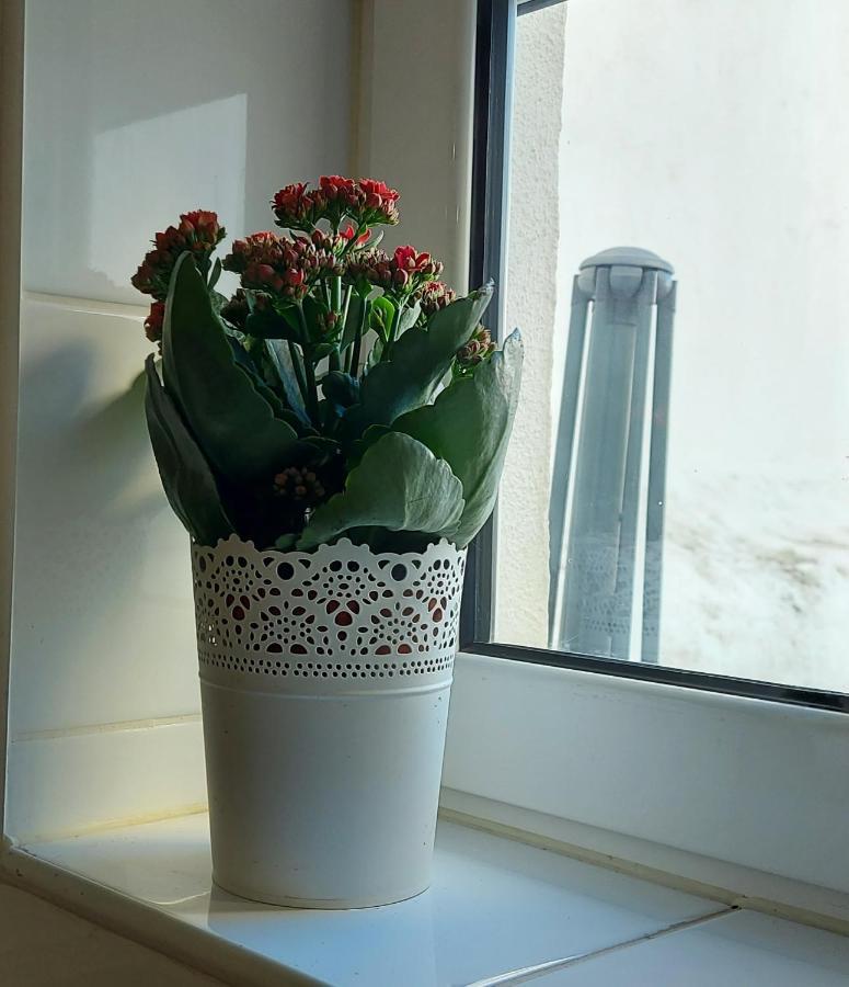 Studio Apartamento Lisboa