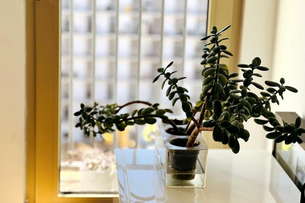 Apartamento Charm Authentic Family