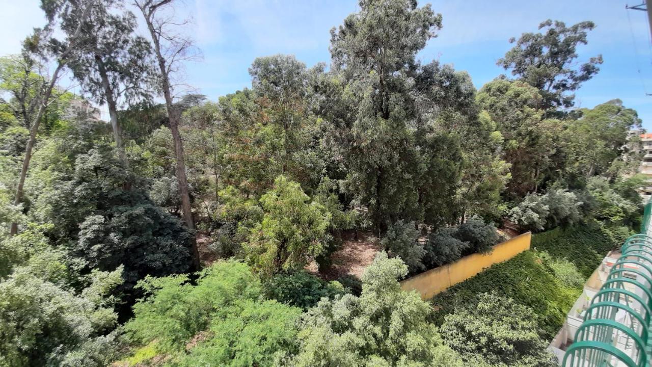 Forest View Lisboa
