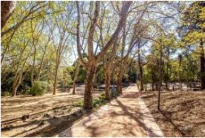 Apartamento Forest View *