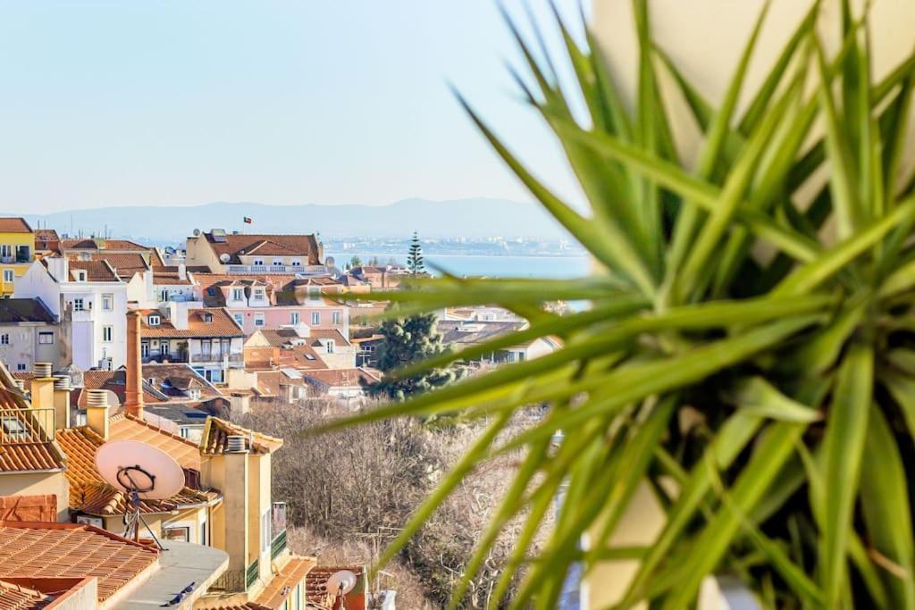 Principe Real Sunny Apartamento *