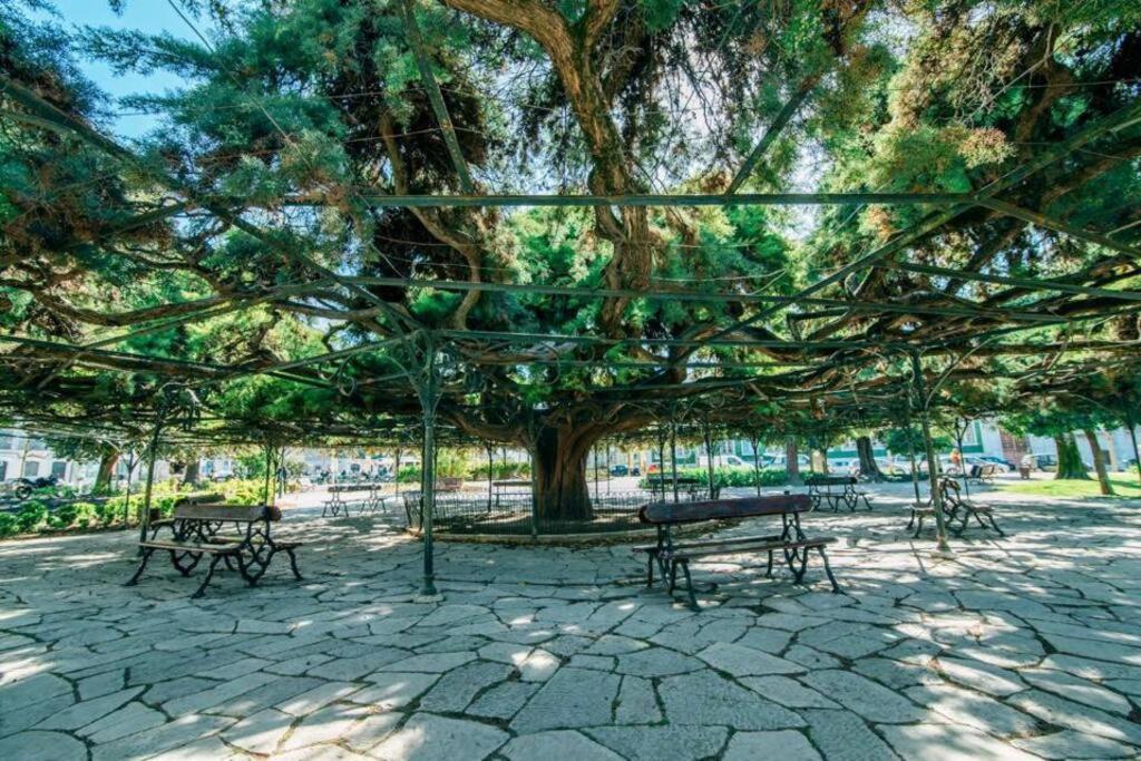 Pen-arts Apartment- Principe Real Garden - Bairro Alto