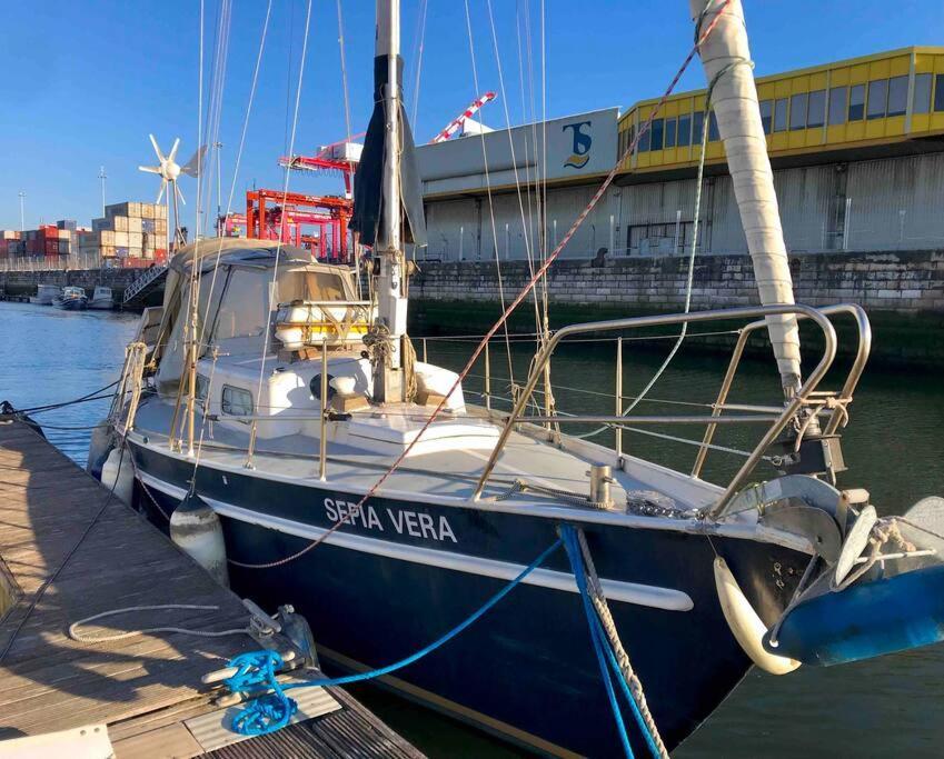 Cozy Marina Sleepaboard - Sail Away