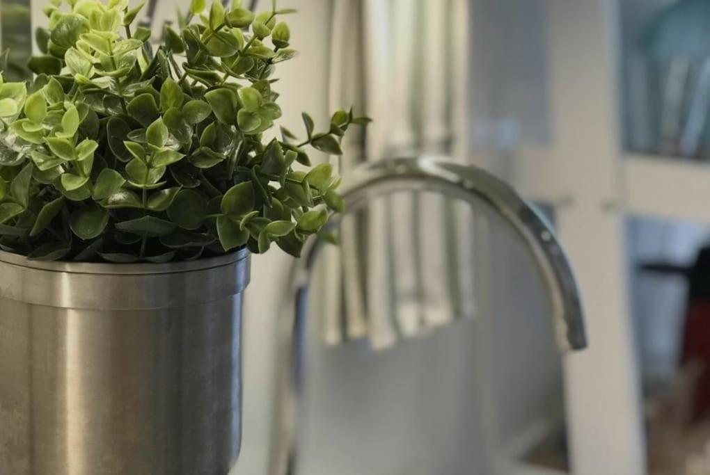 Apartamento Garden 63 - Jardim Da Parada - Campo De Ourique Lisboa