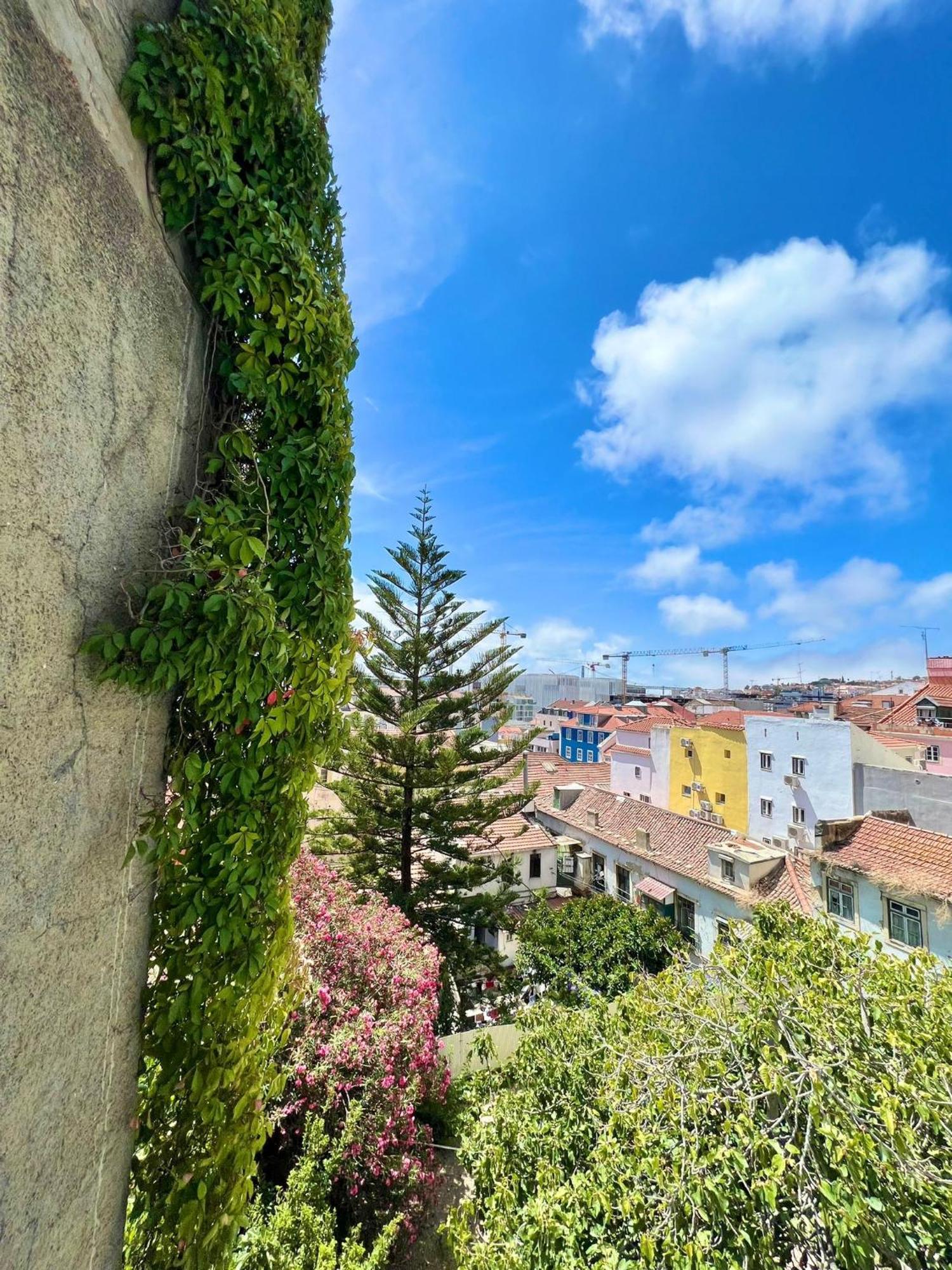 Frank's House & Happy Downtown Lisboa
