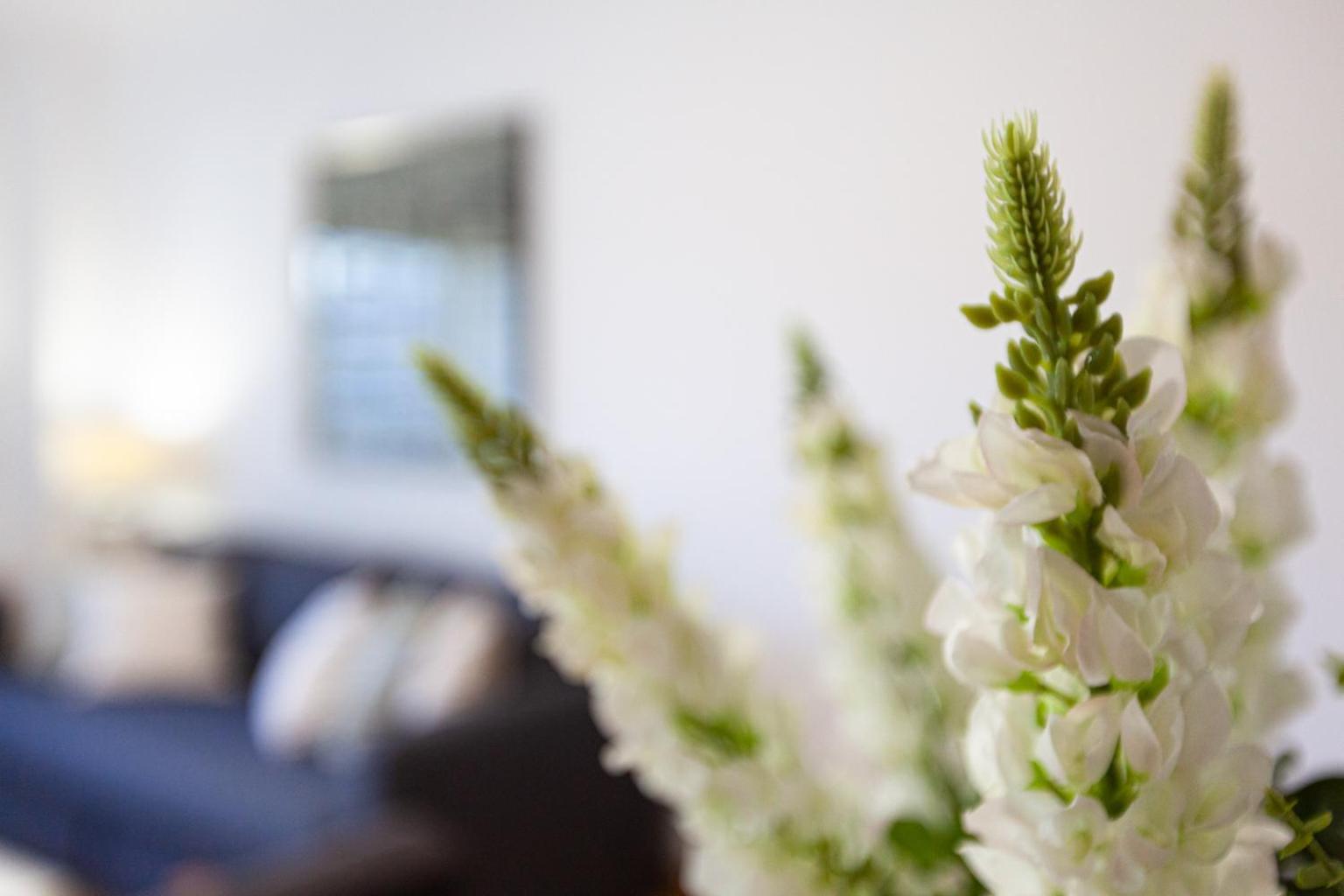 Sete Rios Apartamento