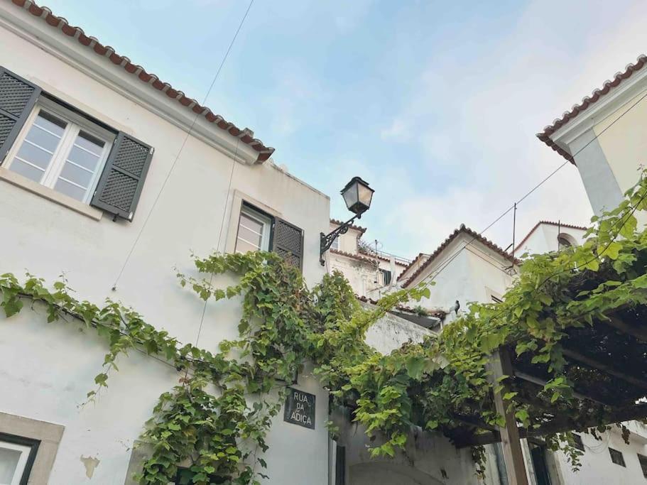 Apartamento Alfama 52 Unique Apt With Pituresque Balcony