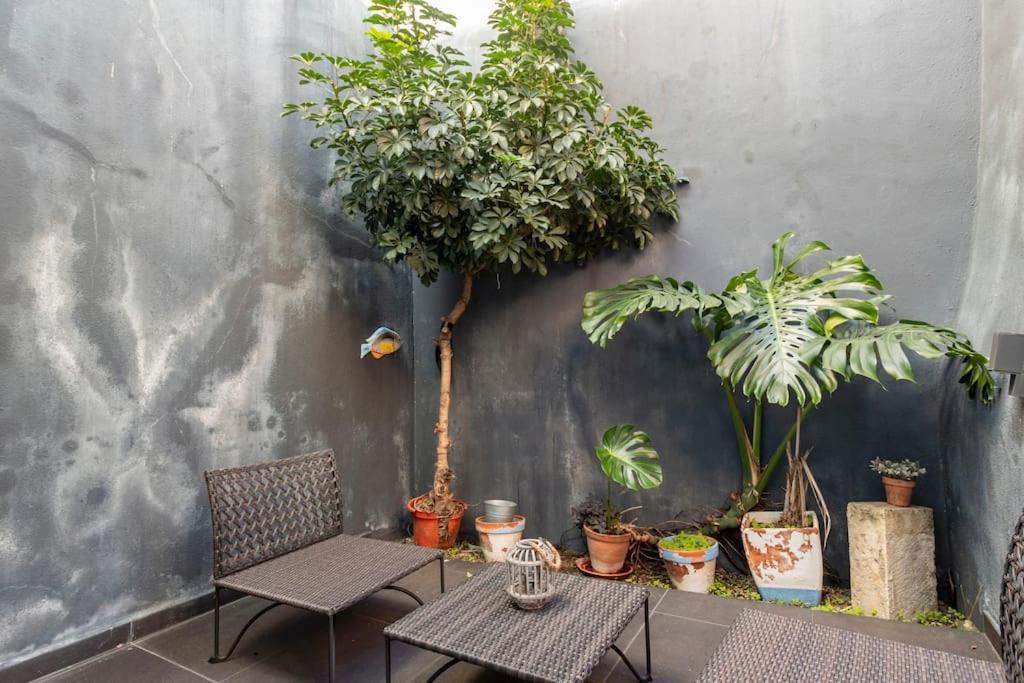 16 Rc - Patio