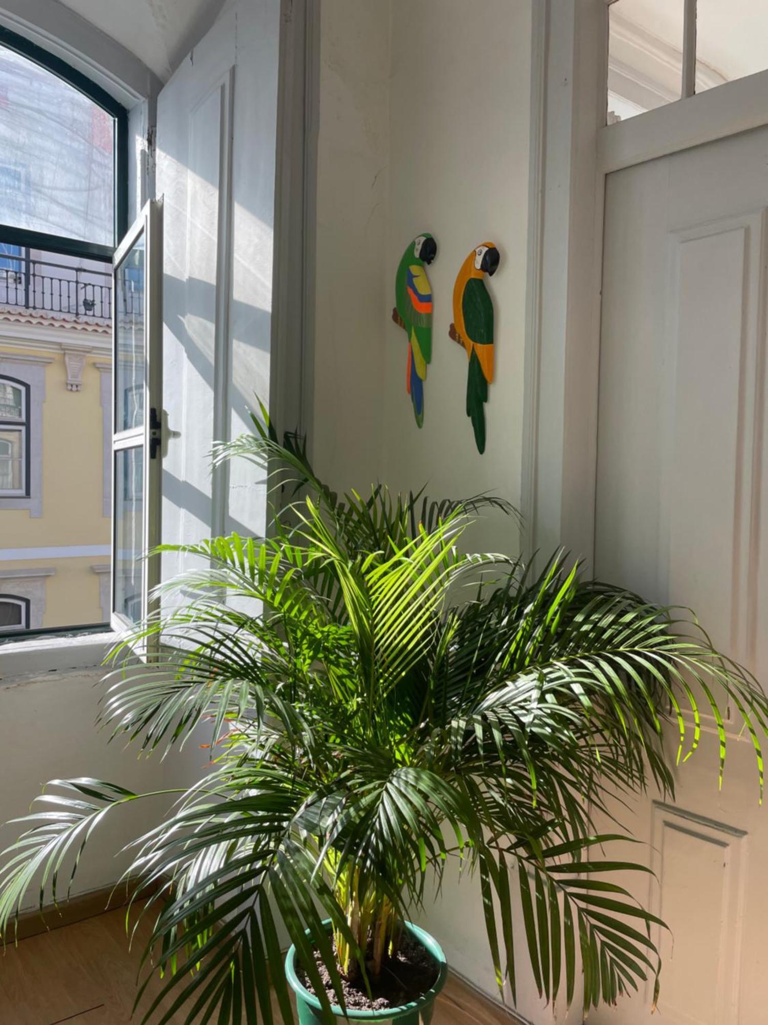 Chiado Casa de hóspedes