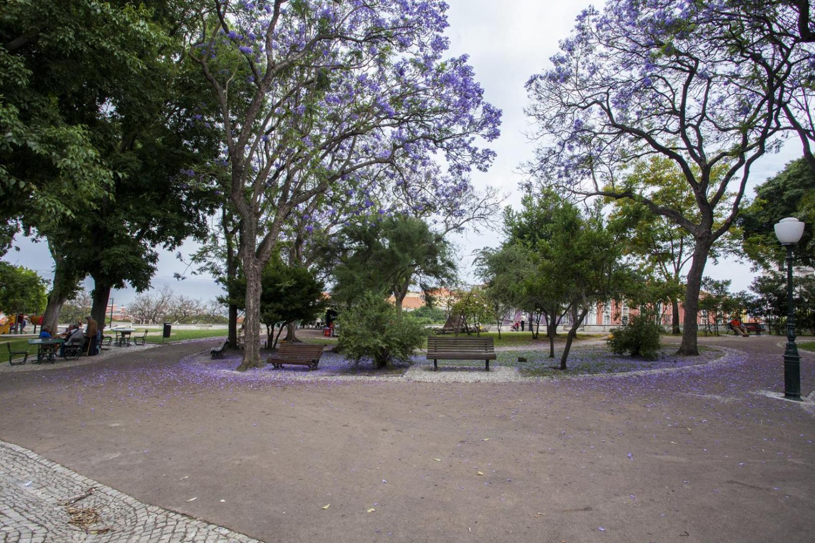 Apartamento Alfama, Ttl268