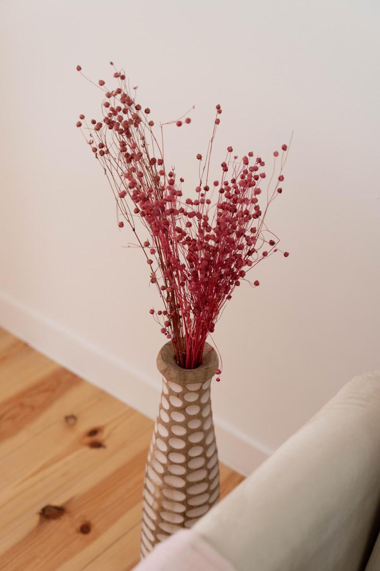 Cozy Bohemian Flat- Berry * Lisboa