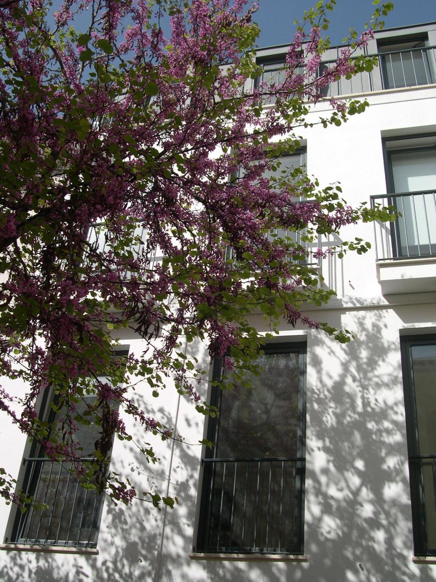 Orange 3 House - Chiado Studios