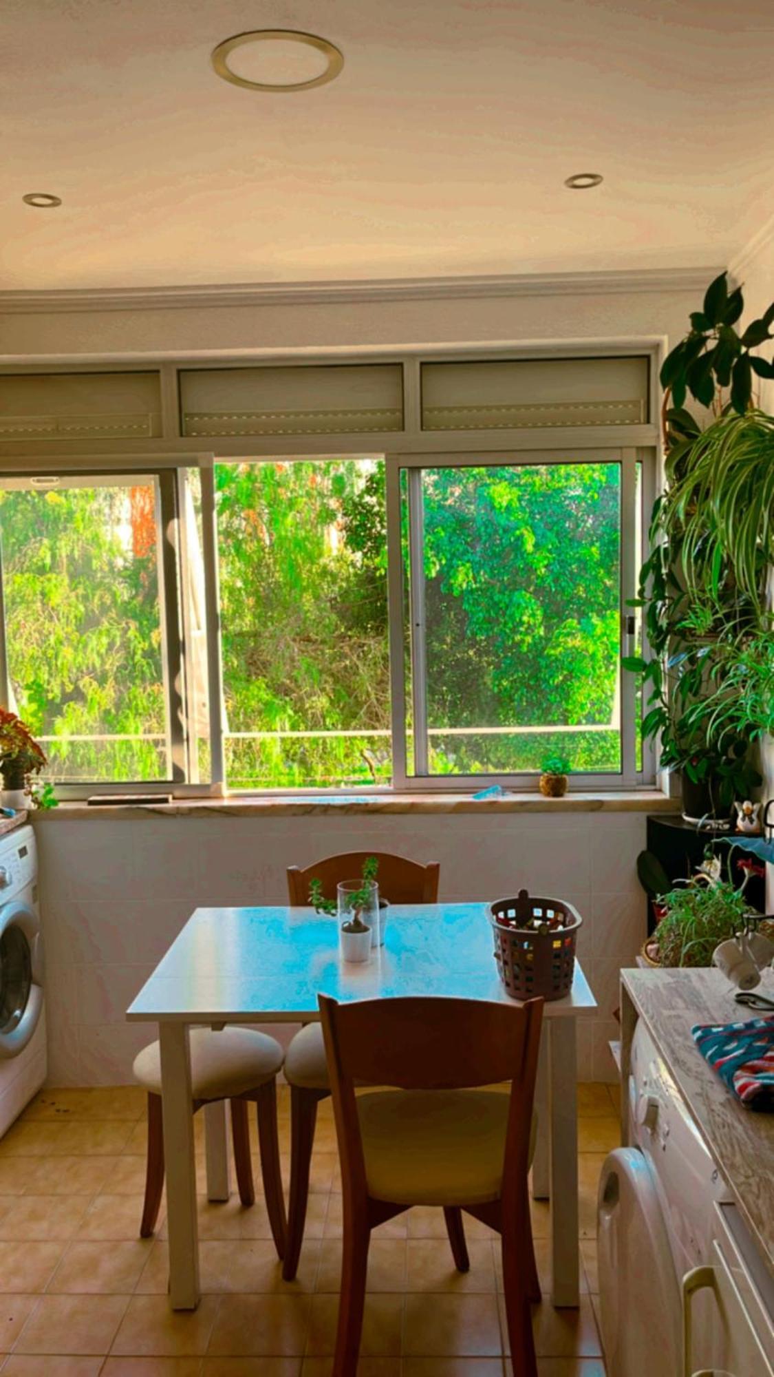 Apartamento Com Boa Luz E Localizacao Em Lisboa. Apartamento