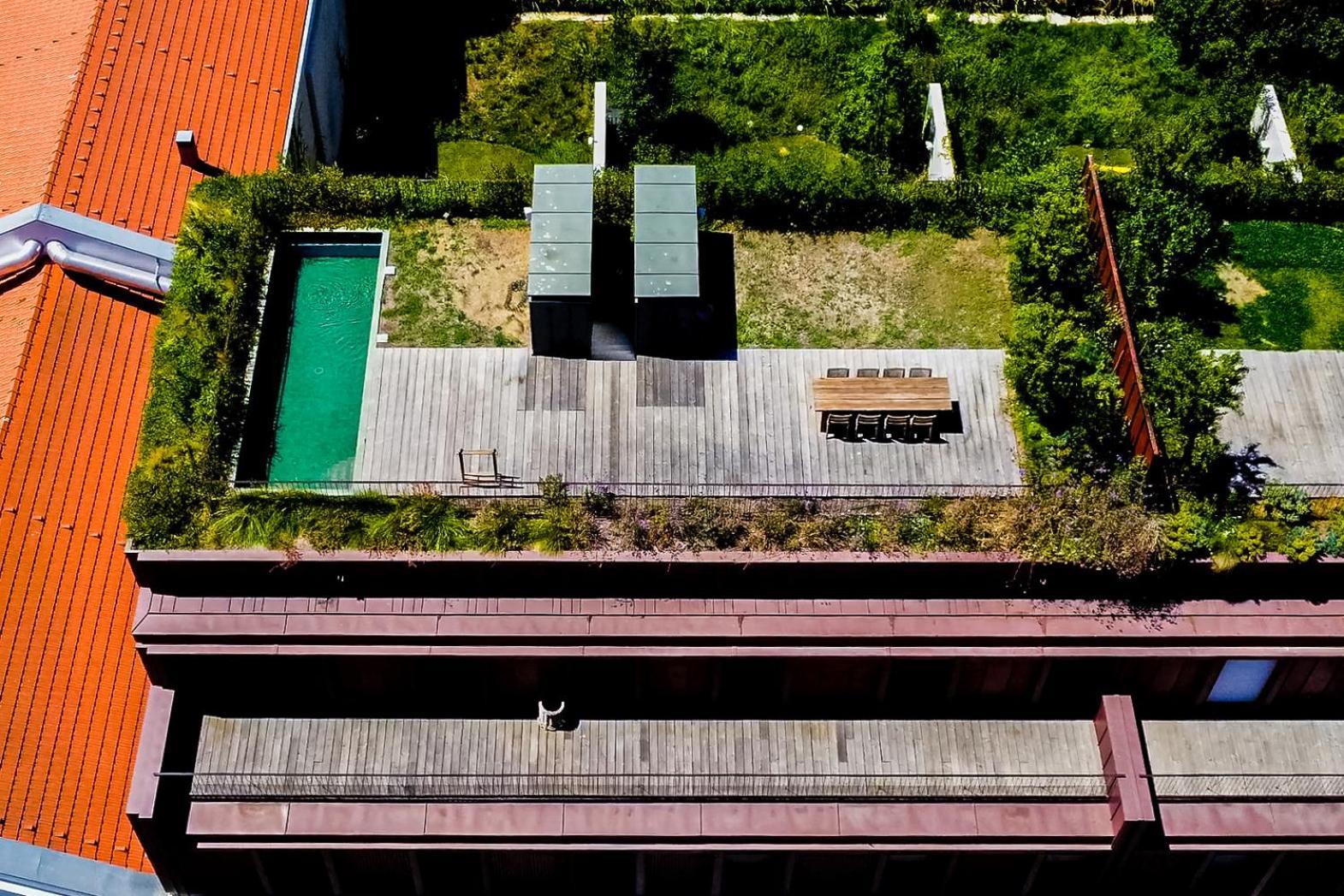 Jungle Lofts * Lisbon