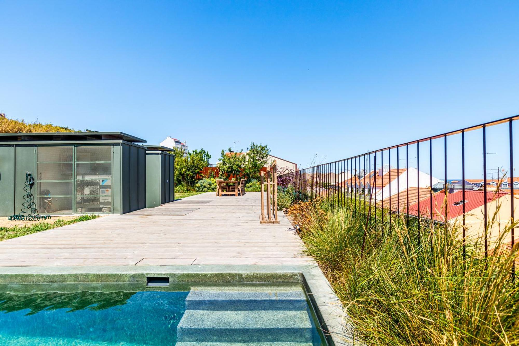 Jungle Lofts *