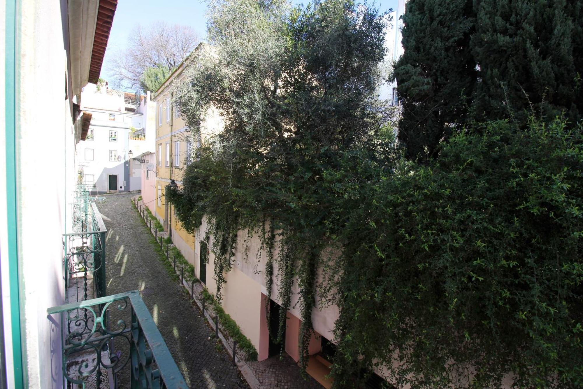 Wot New * Lisboa