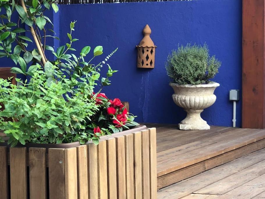 Charming Terrace Flat Center And Trendy Location Apartamento *