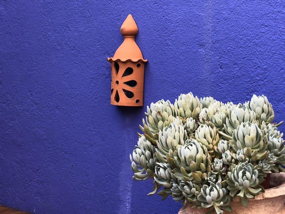 Apartamento Charming Terrace Flat Center And Trendy Location