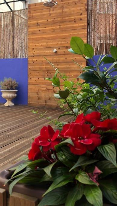 Apartamento Charming Terrace Flat Center And Trendy Location *