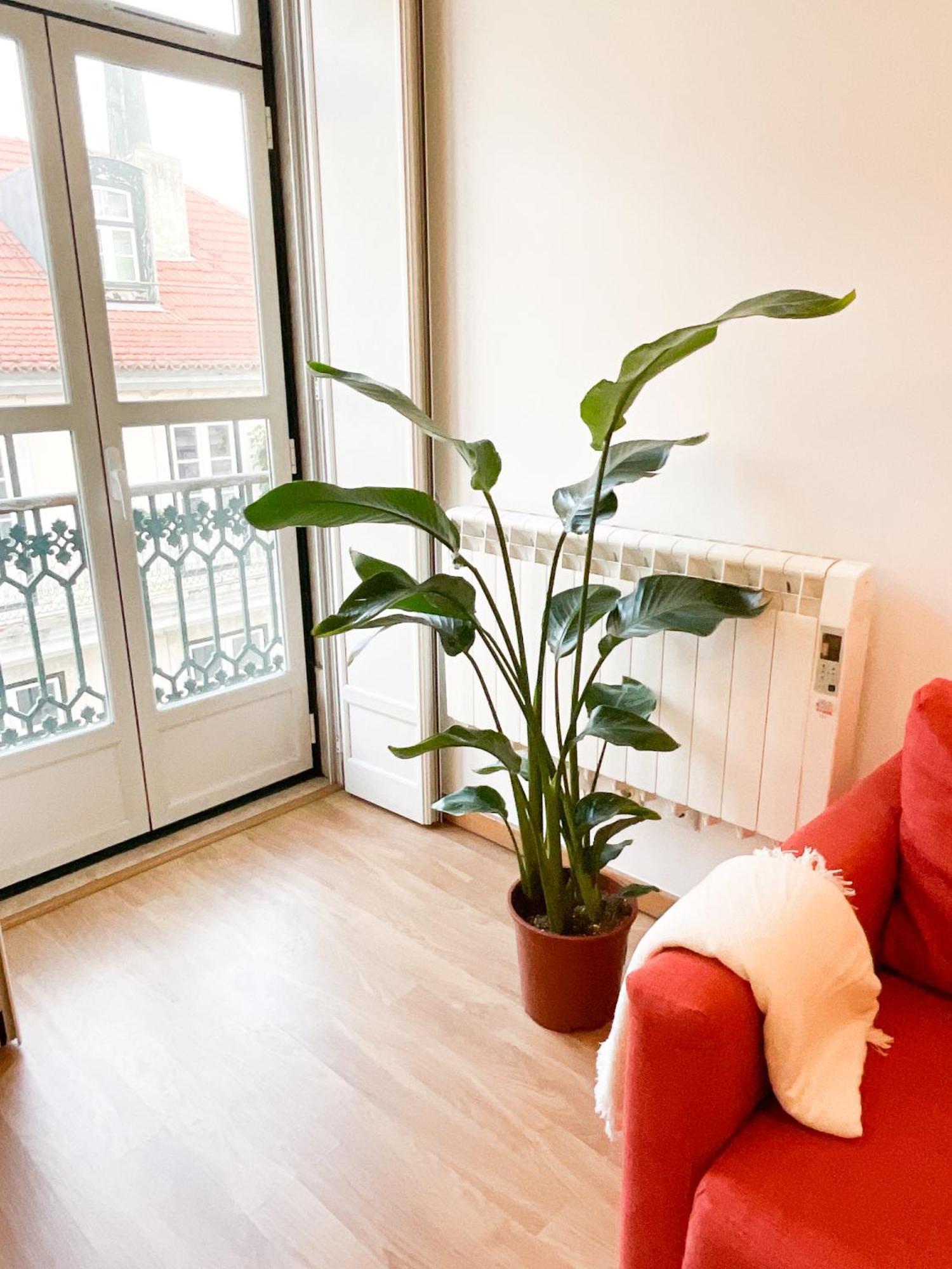 Stunning Luxury In Chiado 1br Apartamento *