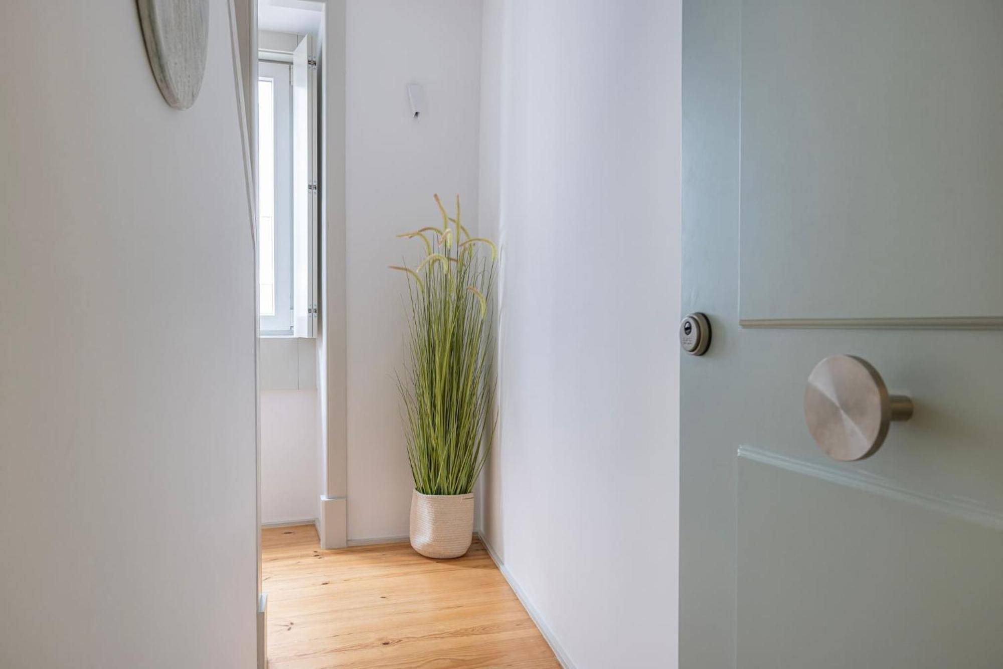 Condessa Iv By Innkeeper *