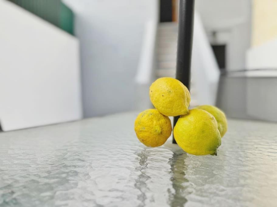Lemon Tree With Patio Apartamento Lisboa