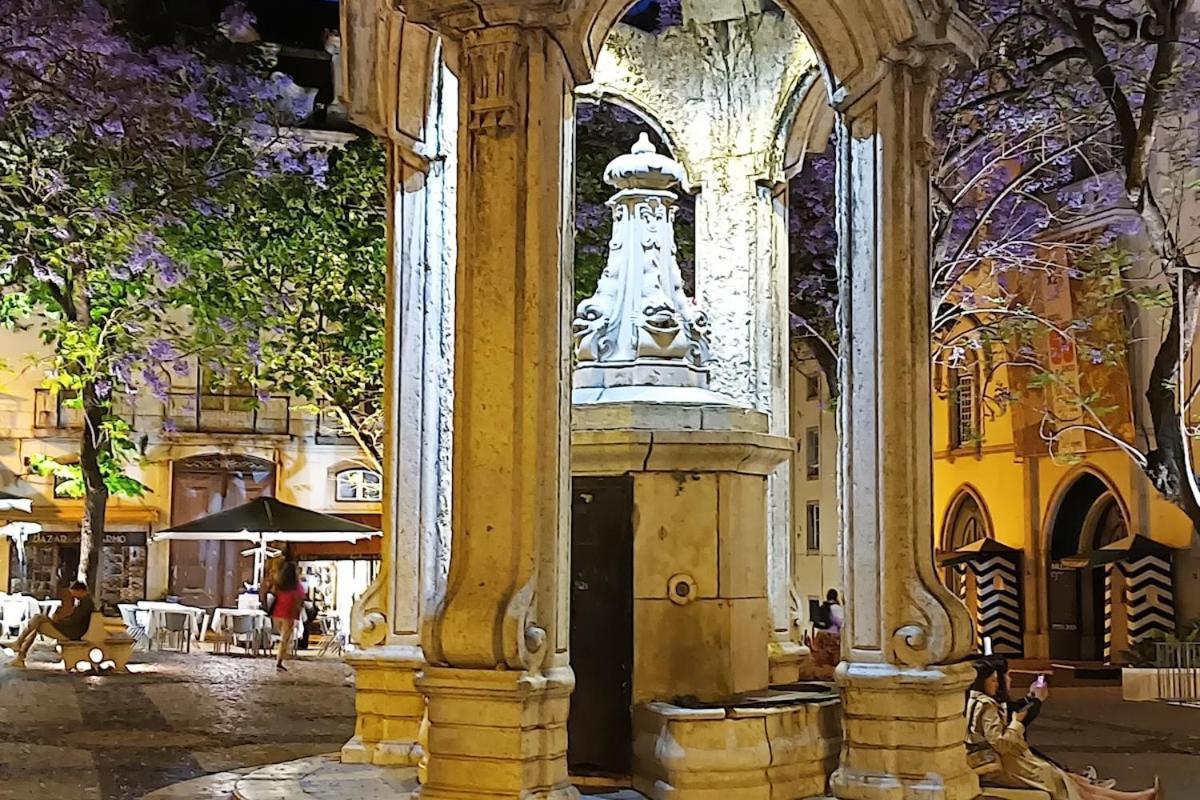Apartamento Condessa - Modern Charm In Historic