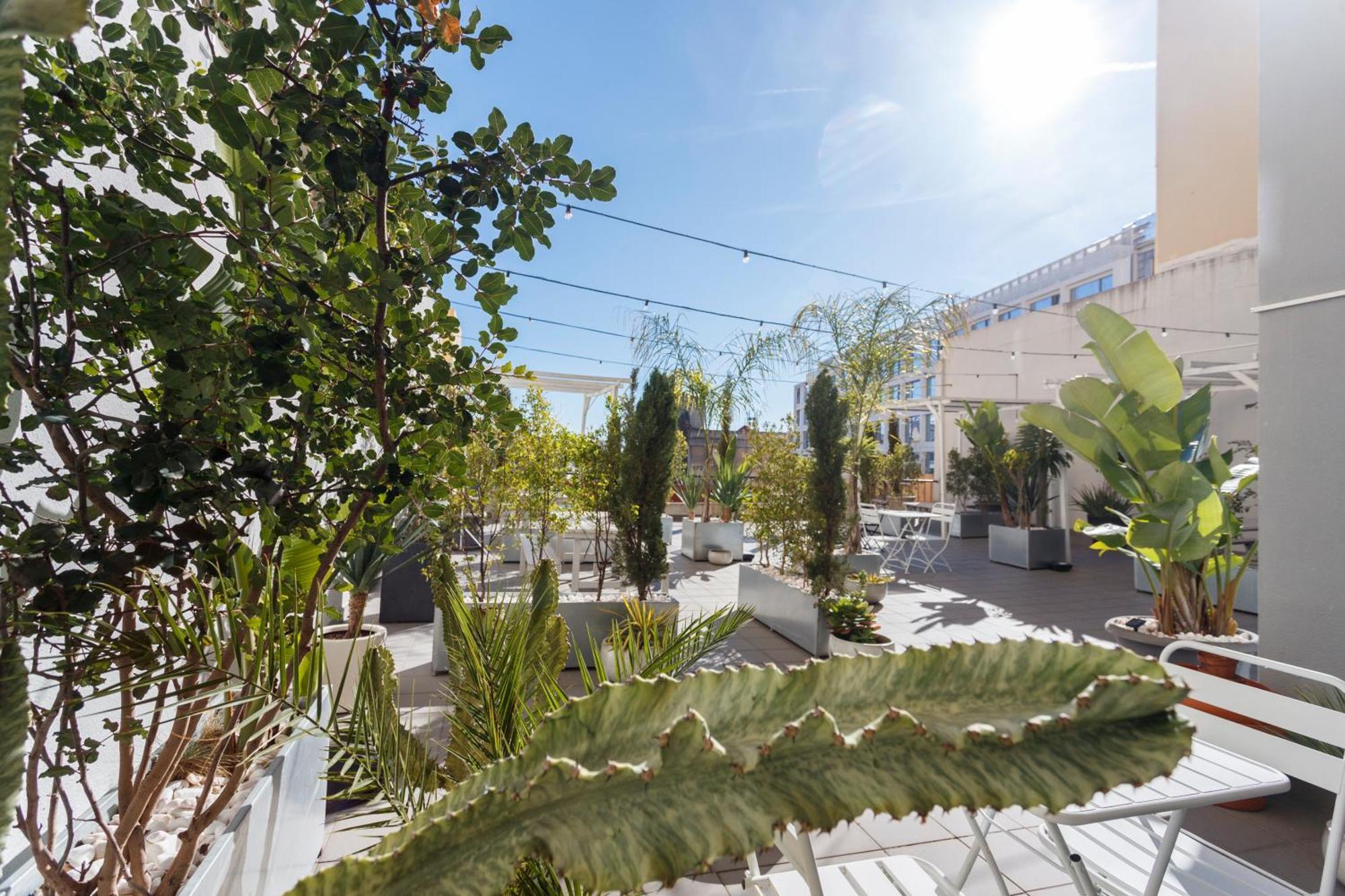 Apartamento Sip & Savor On The Terrace - By Misha's Place 1c