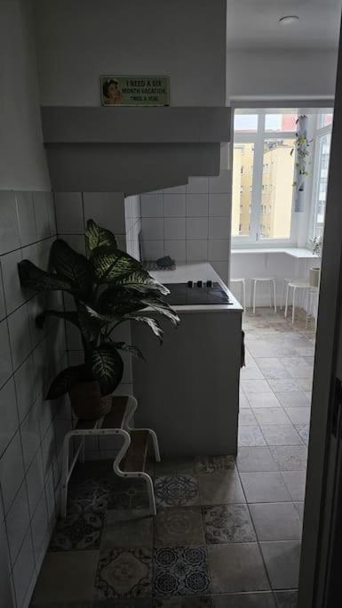 Habitación en casa particular Solo Grande Con Balcon