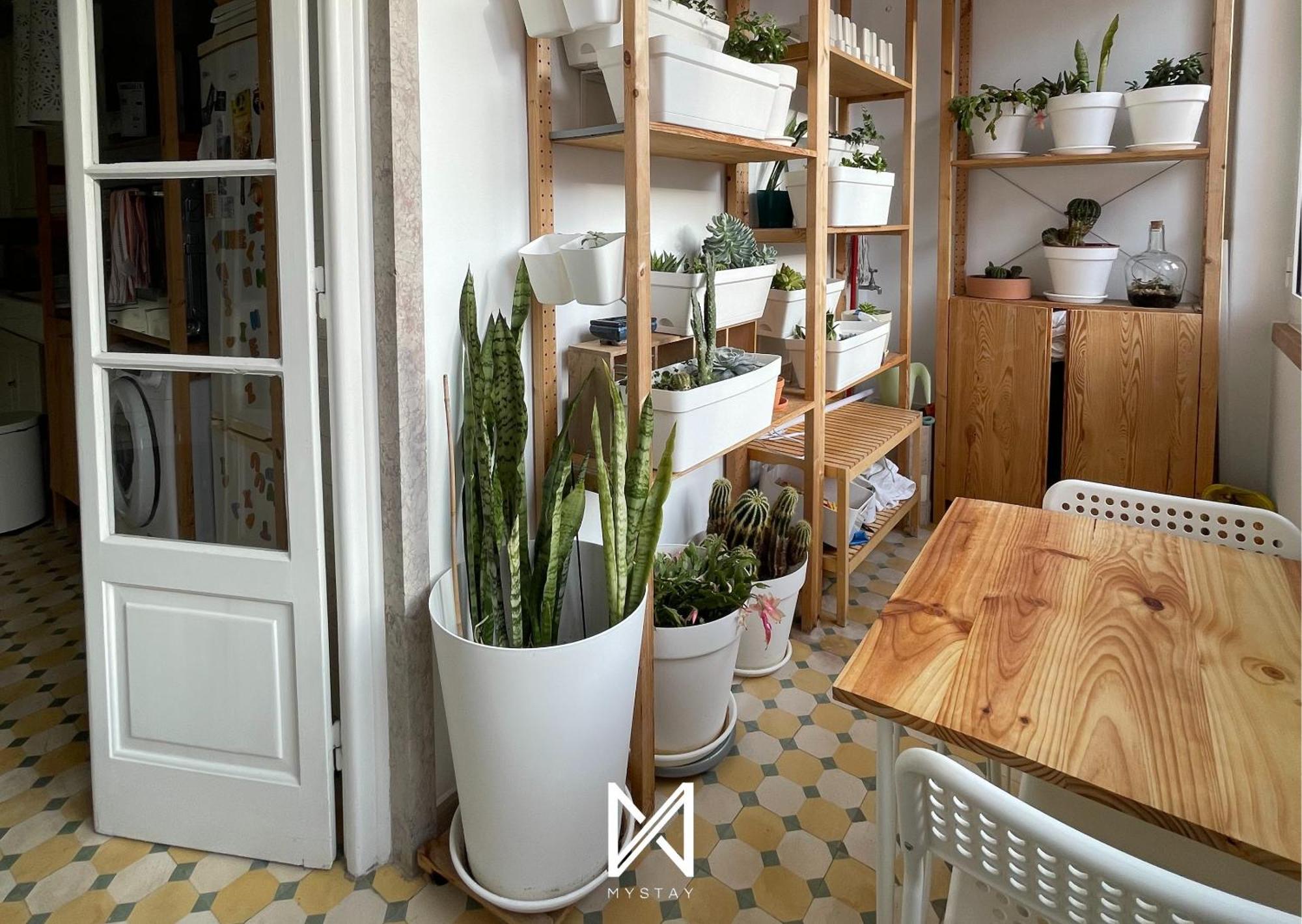 Habitación en casa particular That Place For U - Vintage Lisboa