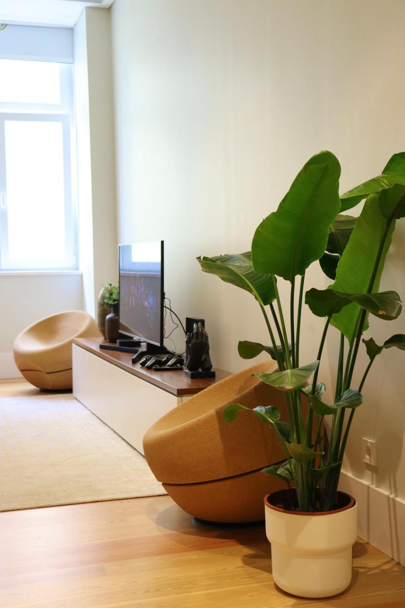 Habitación en casa particular Center Amazing