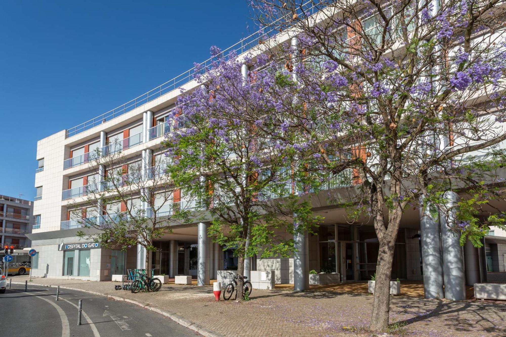 Beguest Premium Apartamento *