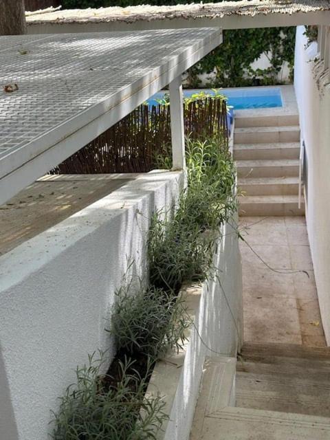 Cozy 1br, Private Terrace & Pool - Estrela | By Airnest Apartamento Lisboa