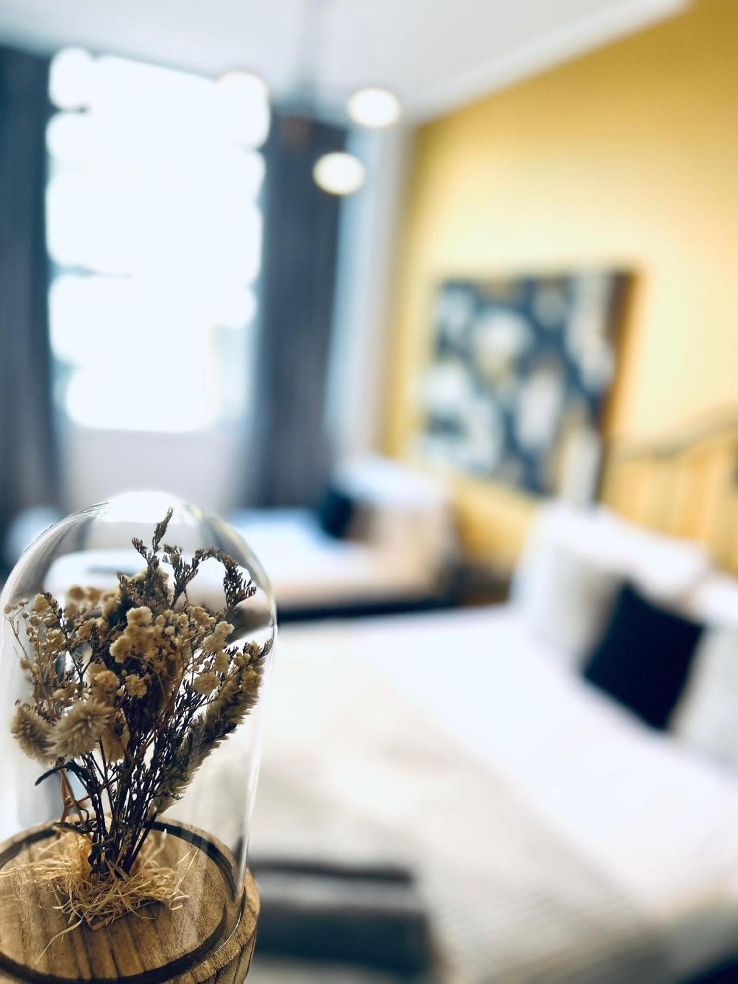 Hostal Luxury Rooms, Ideal For Tourists