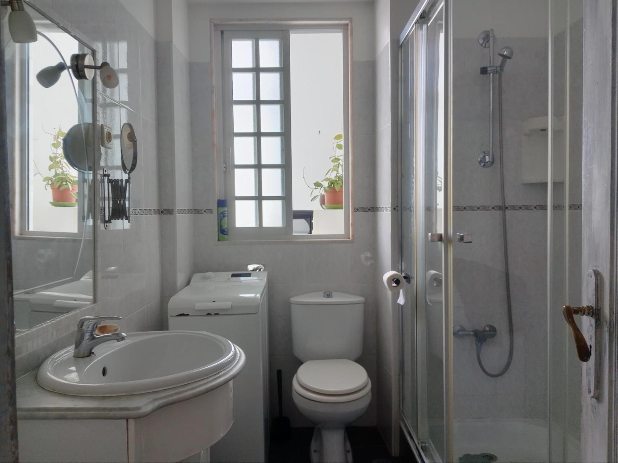 Apartment Historical Flat Design *
