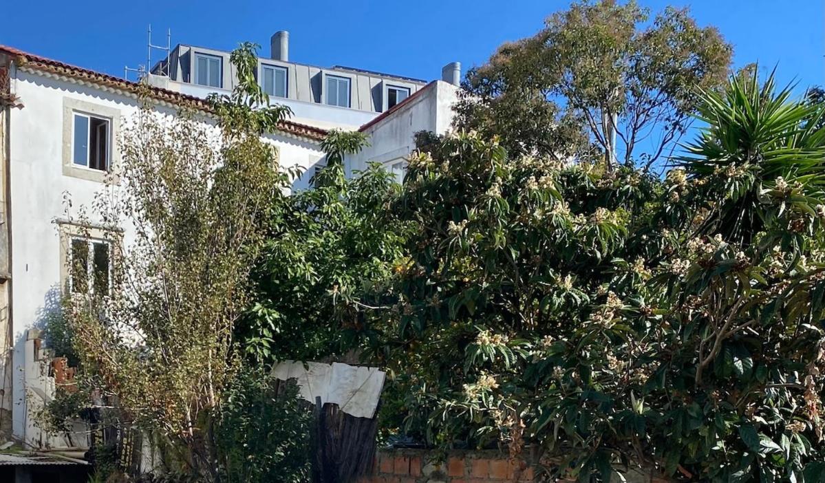 Cozy - Center, Sunny And Pratical * Lisbon