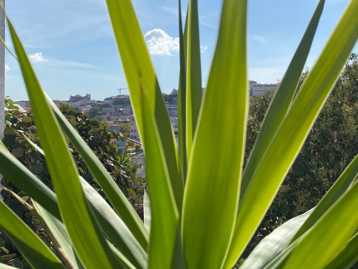 Cozy - Center, Sunny And Pratical * Lisbon