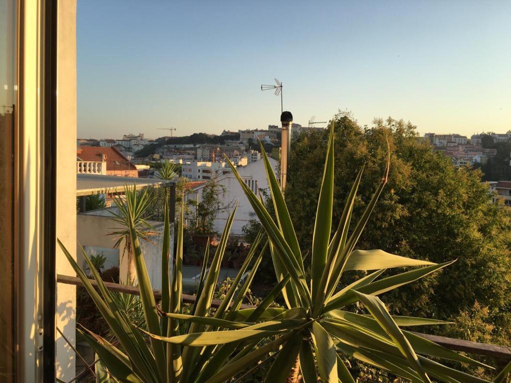 Cozy - Center, Sunny And Pratical * Lisbon