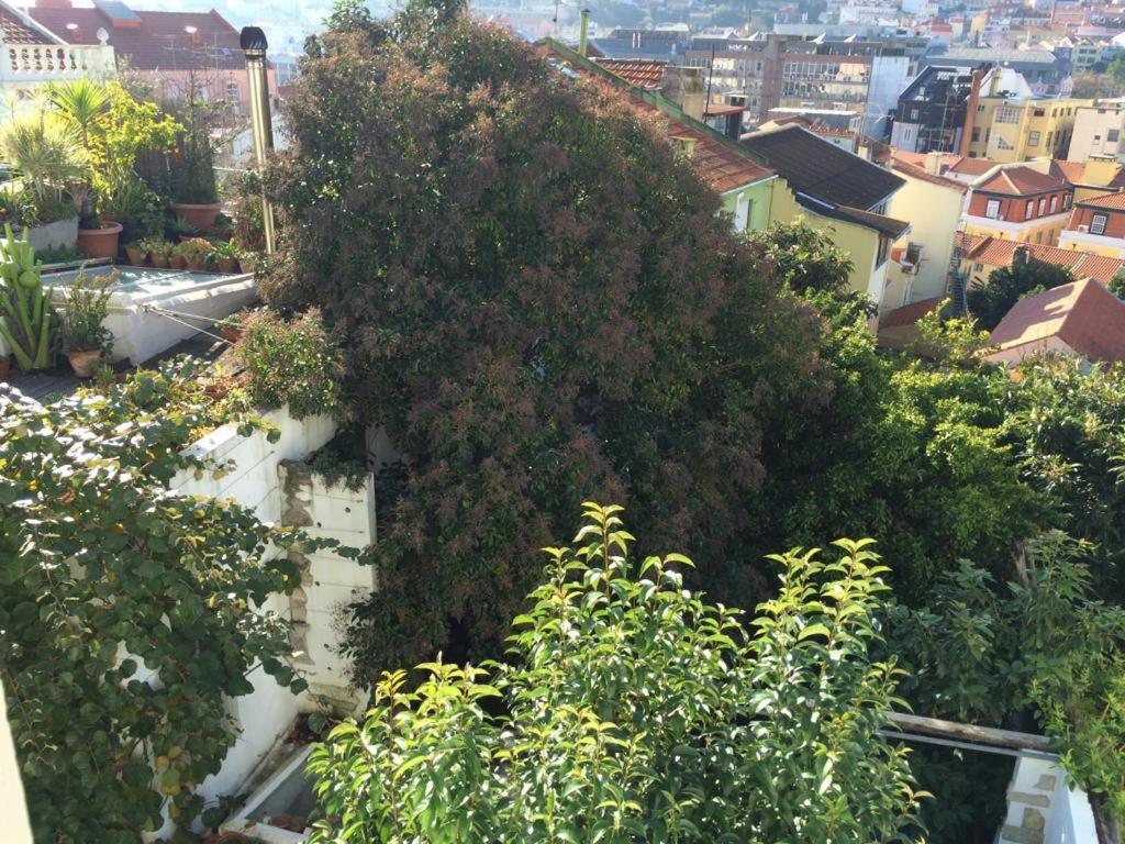 Cozy - Center, Sunny And Pratical Lisbon