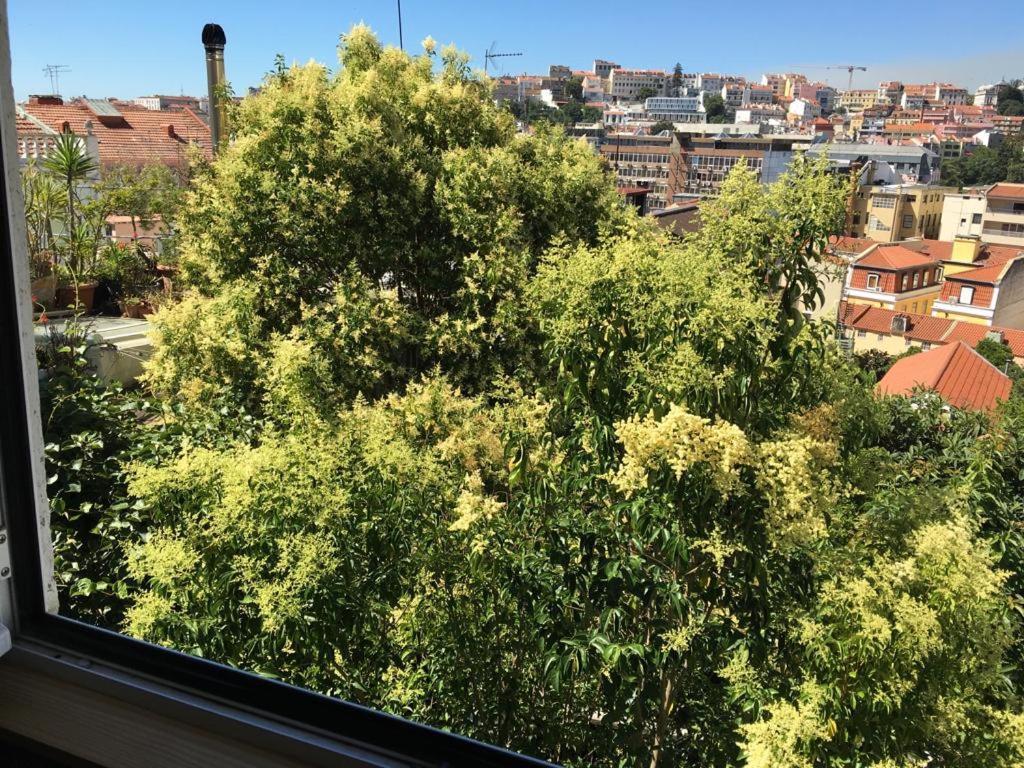 Cozy - Center, Sunny And Pratical