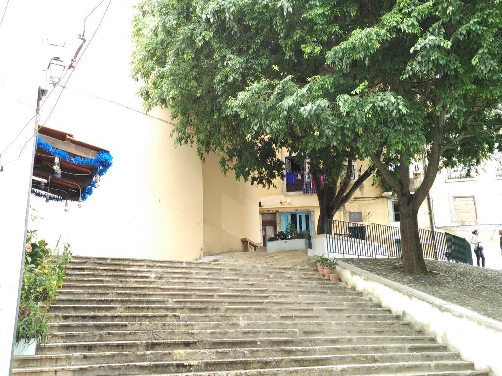 Janelas Ao Sol