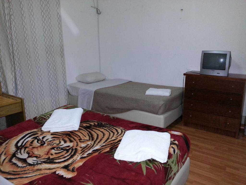 Centre Anjos Guest house