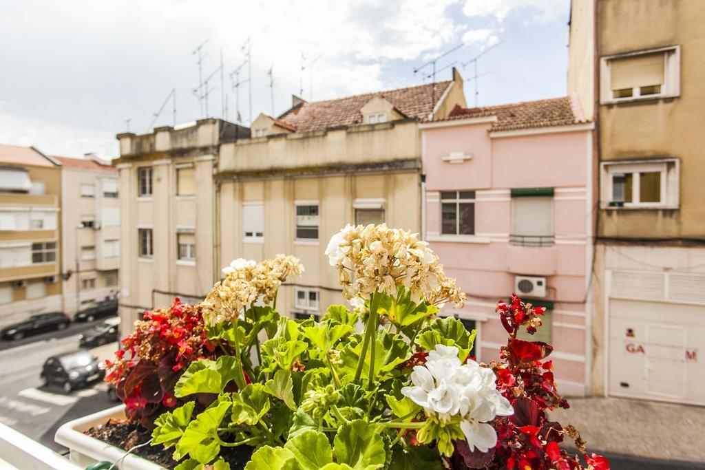 Apartment Calado *