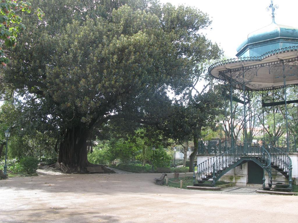 Estrela Heart * Lisbon