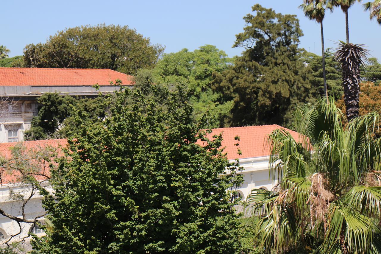 Botanic Views Guest house 3*