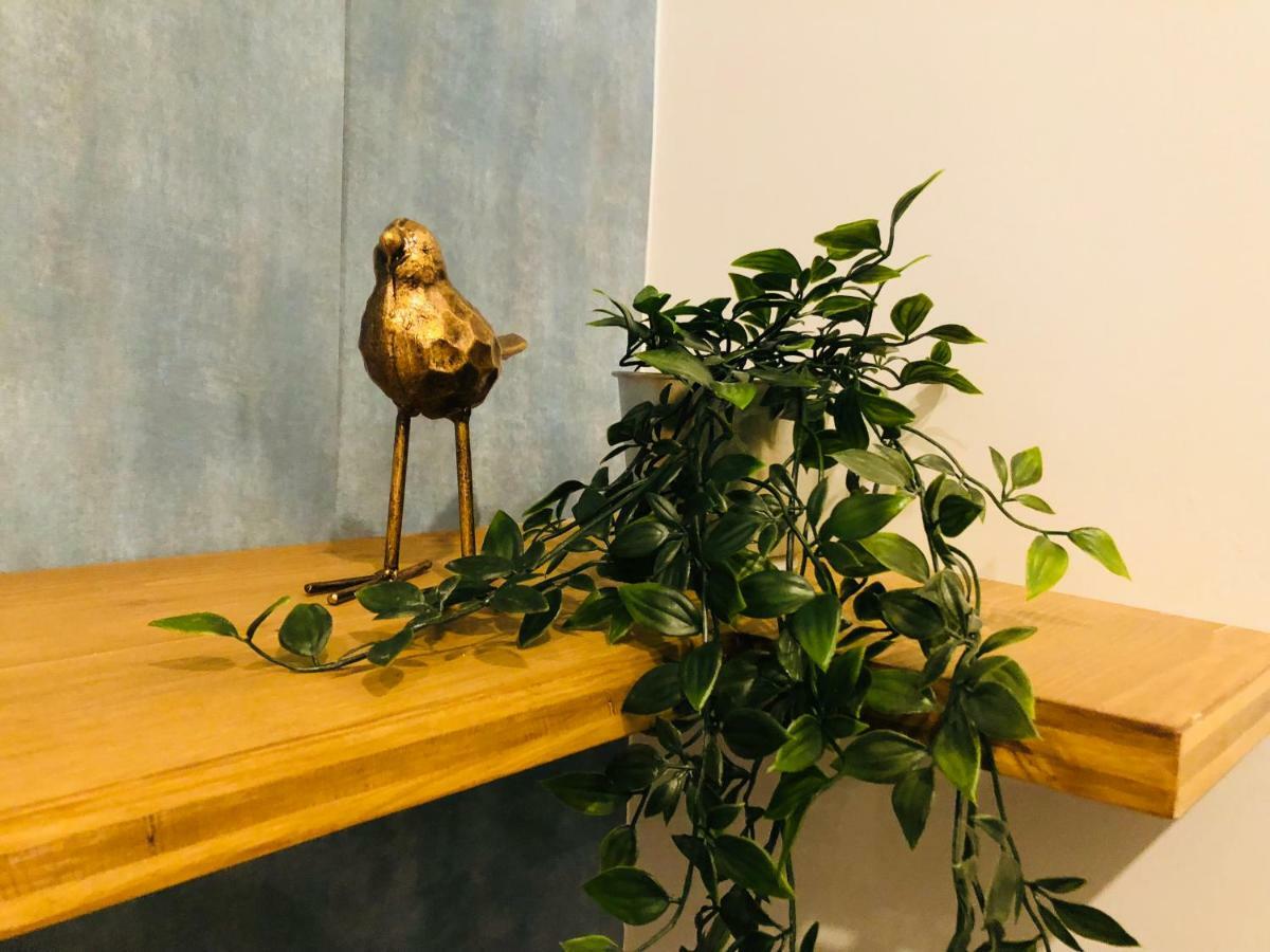 Apartamento Canarios Catarina Lisboa