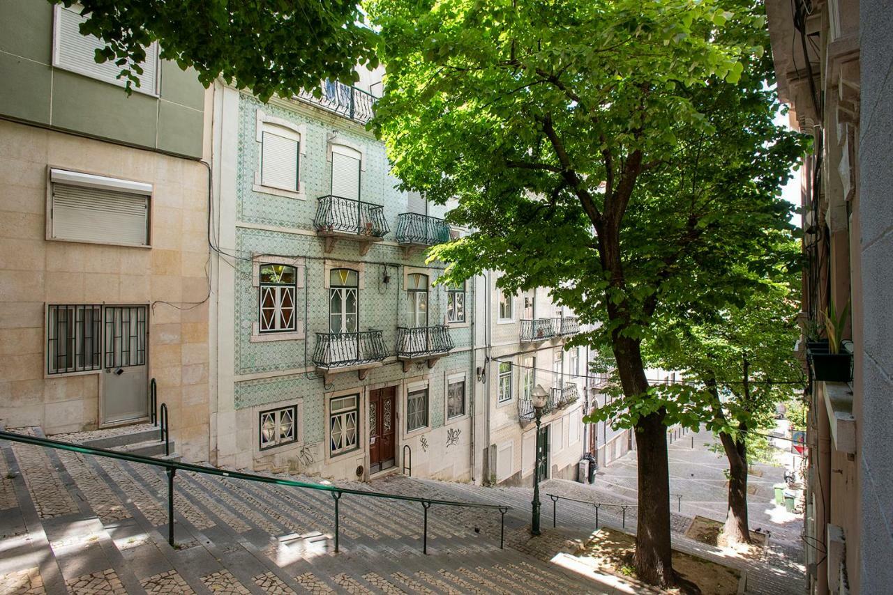 Liverpool Tree Apartment Lisbon